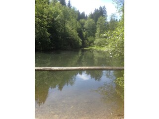 Wanderung zum Feuerlöschteich