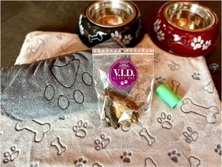 Hundeurlaub in Mörkens Hütte