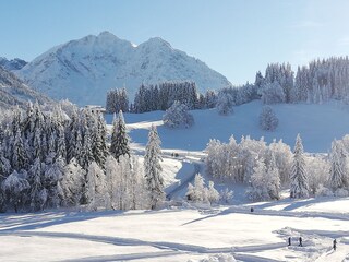 Vakantieappartement Hirschegg im Kleinwalsertal Buitenaudio-opname 8
