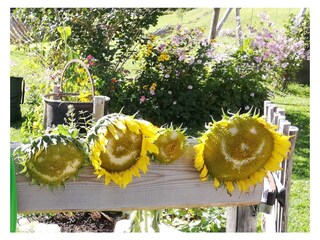 Appartamento per vacanze Hirschegg im Kleinwalsertal Registrazione all'aperto 4