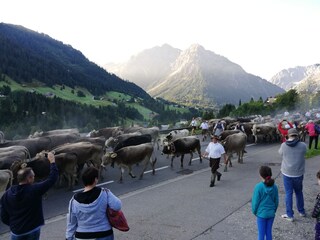 Vakantieappartement Hirschegg im Kleinwalsertal Omgeving 24