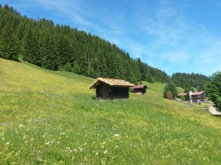 Vakantieappartement Hirschegg im Kleinwalsertal Omgeving 22