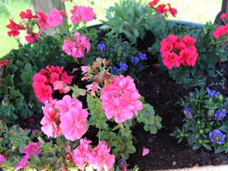 Appartamento per vacanze Hirschegg im Kleinwalsertal Registrazione all'aperto 7