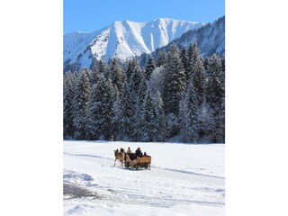 Vakantieappartement Hirschegg im Kleinwalsertal Omgeving 25