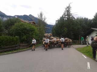 Vakantieappartement Hirschegg im Kleinwalsertal Omgeving 20