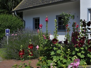 Casa per le vacanze Zingst Registrazione all'aperto 2