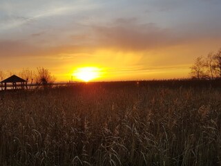 Casa per le vacanze Zingst Registrazione all'aperto 4