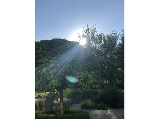 Villa Kamperland Registrazione all'aperto 12