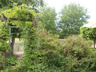 Villa Kamperland Registrazione all'aperto 6