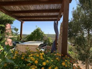 Holiday house Little Oasis - Torre dei Corsari - image1