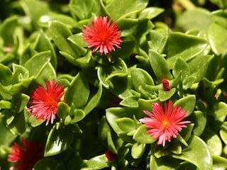 Casa per le vacanze Torre dei Corsari Ambiente 17