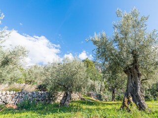 Villa Fornalutx Registrazione all'aperto 17