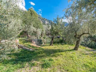 Villa Fornalutx Registrazione all'aperto 18