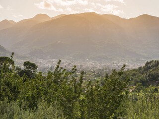 Villa Fornalutx Ambiente 46