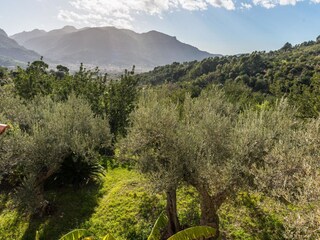 Villa Fornalutx Ambiente 47