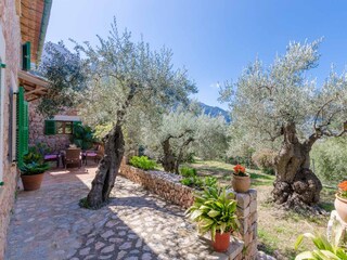 Villa Fornalutx Enregistrement extérieur 29