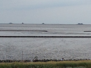 Blick auf die Hallig Nordstrandischmor