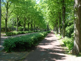 Appartamento per vacanze Schoorl Ambiente 22