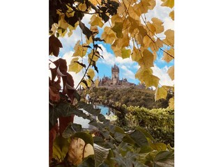 Cochem castle