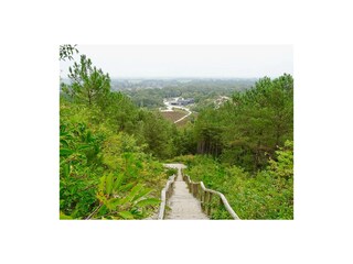 Dunen von Schoorl (200 meter entfernt)