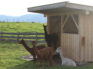 Vakantieappartement Reichersbeuern Omgeving 23