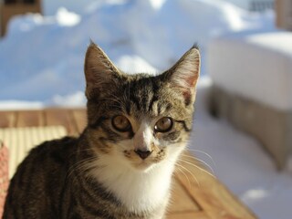 Apartamento de vacaciones Reichersbeuern Entorno 24