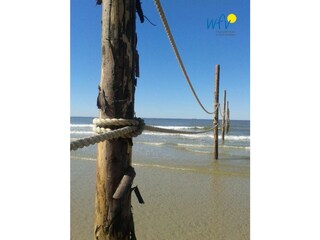 Vakantieappartement Minsen Buitenaudio-opname 12