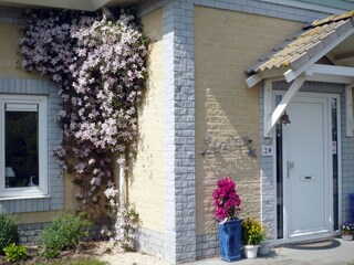 Vakantiehuis Kamperland Buitenaudio-opname 2