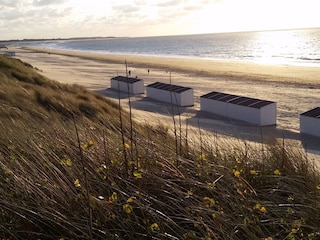 Vakantiehuis Kamperland Omgeving 25