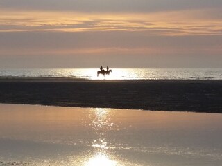 Vakantiehuis Kamperland Omgeving 26