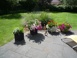 Vakantiehuis Kamperland Buitenaudio-opname 4