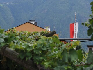 Raising the flags true to Tyrolean tradition...