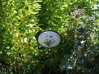 Der Kräutergarten... Lebensmittel erleben!