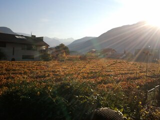 ... experience the sunshine... even in the autumn