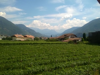 Ihr Blick vom Balkon