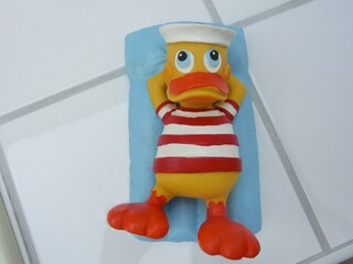 Casa de vacaciones Langeoog Características 32