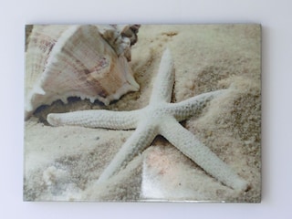 Casa per le vacanze Langeoog Caratteristiche 20