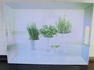 Casa per le vacanze Langeoog Caratteristiche 13