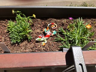 Appartamento per vacanze Colmar Caratteristiche 24