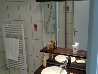 Appartamento per vacanze Colmar Caratteristiche 22