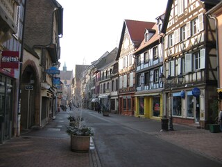 Appartamento per vacanze Colmar Ambiente 28