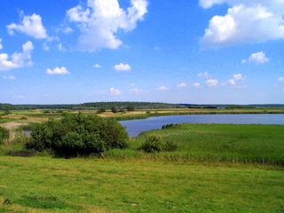 Am NABU-Naturzentrum Katinger Watt