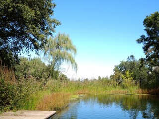 Ferienhaus Ville di Corsano Außenaufnahme 9