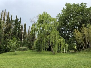 Vakantiehuis Ville di Corsano Buitenaudio-opname 10