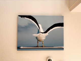 Möwe in Kalifornien