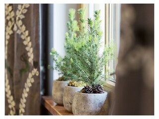 Apartment Dorfgastein Outdoor Recording 10