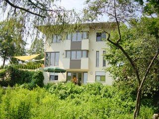 Blick aus der Obstwiese im Sommer