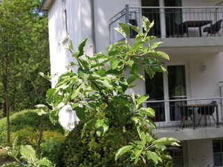 Ferienwohnung Waren (Müritz) Außenaufnahme 5