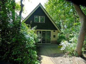 Holiday house Haus Gerrit - Sint Maartensvlotbrug - image1