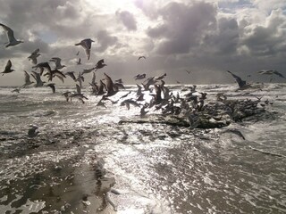 Casa per le vacanze Sint Maartensvlotbrug Ambiente 15